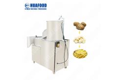 China Yam Peeling Slicing 100kg/H Vegetable Washing Machine supplier