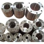 JIS EN1092-1 DIN Processing Machinery Parts Pipe Fitting Flanges SS304/316 for sale