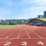 Permeable Sandwich System Running Track For Sports Venues Durable for sale