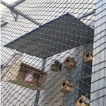2mm Hand Woven Stainless Steel 306l Wire Rope Mesh Zoo Fence Mesh for sale