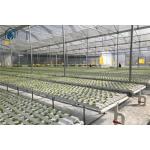 NFT Hydroponic Growing System Plastic Channel For Home And Commercial Use