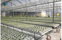 China NFT Hydroponic Growing System Plastic Channel For Home And Commercial Use supplier