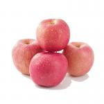 SUS304 Automatic Apple Processing Line For Fruit Juice Plant  Energy Saving for sale
