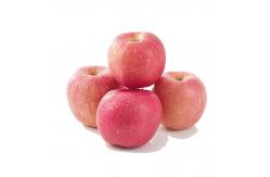 China SUS304 Automatic Apple Processing Line For Fruit Juice Plant  Energy Saving supplier