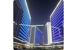 China Permanent Christmas Pixel Point Led Light For Amusement Park supplier