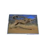 B150XG02 V5 15.0 inch 1024*768 LCD Display TFT-LCD SCREEN for sale