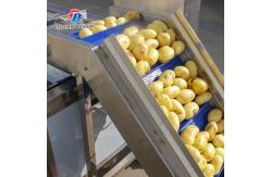 China Vegetable Hair Roller Bubble Washing Selection Cutting Machine Production Line supplier