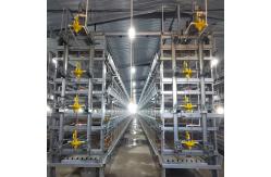 China Poultry Feeding Line Broiler Farming Equipment With Automatic Feeders And Drinkers supplier