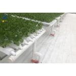 Customized Hydroponic NFT Pipe Greenhouse Flat PVC Tube Hydroponic Systems