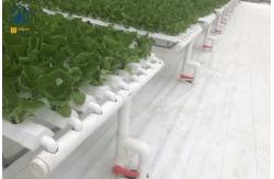 China Customized Hydroponic NFT Pipe Greenhouse Flat PVC Tube Hydroponic Systems supplier