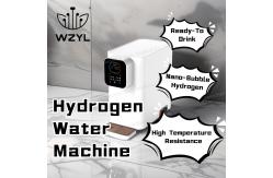 China WEIZI Molecular Hydrogen Machine Platinum Titanium Electrode For Home Use supplier
