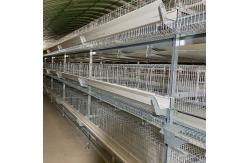 China 90 Layer Chicekns HDG Battery Layer Chicken Cage System H supplier