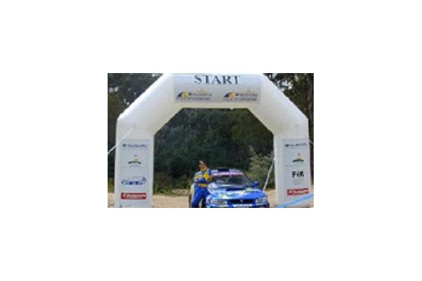 inflatatable arch Hot selling durable blue advertising inflatable arch