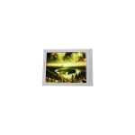 5.0 inch AT050TN33 CELL 480*272 LCD Touch display for sale