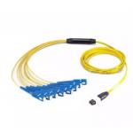 12 Core MTP / MPO - SC SM Patch Cord Used Inside Of Module Box for sale