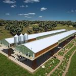 Prefab Automatic Steel Structure Chicken House / Chicken Coop Steel Frame House for sale