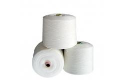 China 20/6 20/9 100% Polyester Bag Closing Thread Low Shrinkage supplier