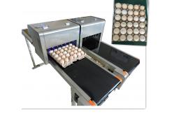 China High Output Egg Batch Code Stamping Machine With Low Maintenance Costs supplier