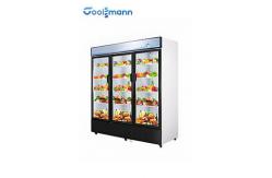 China LED Glass Door Cooler Drinks Fridge 1587L Double Layer Tempered supplier