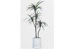 China Plastic Artificial Potted Floor Plants Indoor Evergreen Dragon Blood Trees supplier