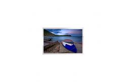 China LS012B7DD01 1.2 inch 184*38 LCD Display Screen supplier
