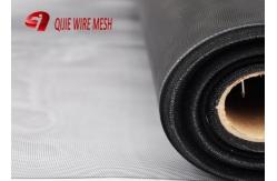 China 12 Mesh Window Mesh Insect Screen Black Powder Coated Stainless Steel 316 Security supplier