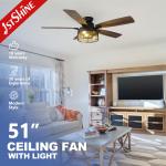 2- 110-240V/50Hz-60Hz Lighting Ceiling Fan with Remote Control and Fancy Iron Design for sale