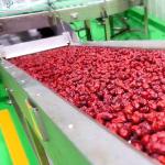 Chinese Date Fruit Juice Processing Line , ISO9001 Fruit Pulp Processing Plant for sale
