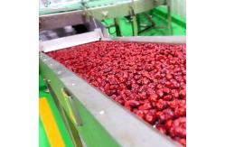 China Chinese Date Fruit Juice Processing Line , ISO9001 Fruit Pulp Processing Plant supplier