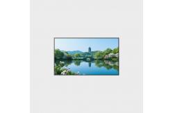 China 55 inch High Brirghtness LCD Screen 1920*1080 2000nits LCMA-RX0550Gl24-C200 supplier