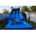 Hot selling commercial large inflatable pool slide for sale