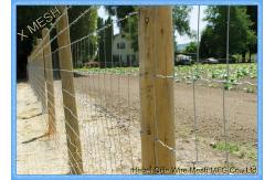 China Heavy Duty Metal Wire Mesh Sheets , High Tensile Fabric Mesh Screen Field Fencing supplier