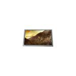 G057VCE-SH1 640*480 5.7 inch 262K 60Hz LCD Screen Display for sale
