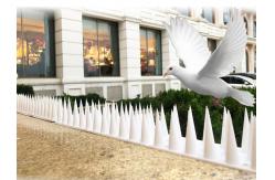 China Easy Installation Pest Control Bird Spikes In Plastic supplier