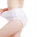 Menstrual Period Sanitary Napkin Panty Waterproof Leak Proof Non Woven Fabric for sale