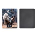 PET / PP Lenticular 3D Coolest Fridge Magnets Heidelberg Machine Printing