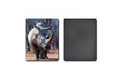 China PET / PP Lenticular 3D Coolest Fridge Magnets Heidelberg Machine Printing supplier