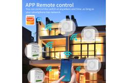 China Remote / Voice Control Wifi Smart Switches With Scheduling Automation Energy Monitoring supplier