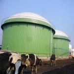 Customized Capacity Double Membrane Biogas Gas Holder UV Resistance for sale