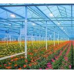 Initial Payment Snow Vibrator Greenhouse for Agriculture Unheated Heating Method