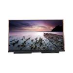 VVX17F165H00 16.5 inch 300 cd/m2 LVDS  LCD Display Screen Panel for sale