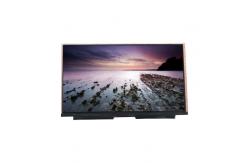 China VVX17F165H00 16.5 inch 300 cd/m2 LVDS  LCD Display Screen Panel supplier