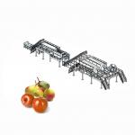 65 - 72 Brix Machine Fruit Juice Apple Processing Line With Self CIP System for sale