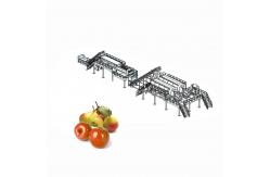 China 65 - 72 Brix Machine Fruit Juice Apple Processing Line With Self CIP System supplier