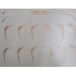 Die Cut Custom Waterslide Decals For Models Weather Resistant SGS Approval