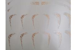 China Die Cut Custom Waterslide Decals For Models Weather Resistant SGS Approval supplier