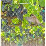 Heavy Duty Bird Proof Net 3cm / 5cm / 7cm / 10cm HDPE Anti Bird Net for sale