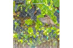 China Heavy Duty Bird Proof Net 3cm / 5cm / 7cm / 10cm HDPE Anti Bird Net supplier