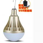 Rechargeable 2W Solar Powered Led Lights Ultra Bright for sale