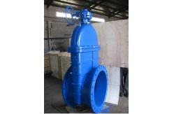 China General Standard Cast Iron Gate Valve for Customized Service Needs supplier